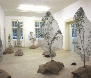 Barbaras forest“, audiovisuelle Installation